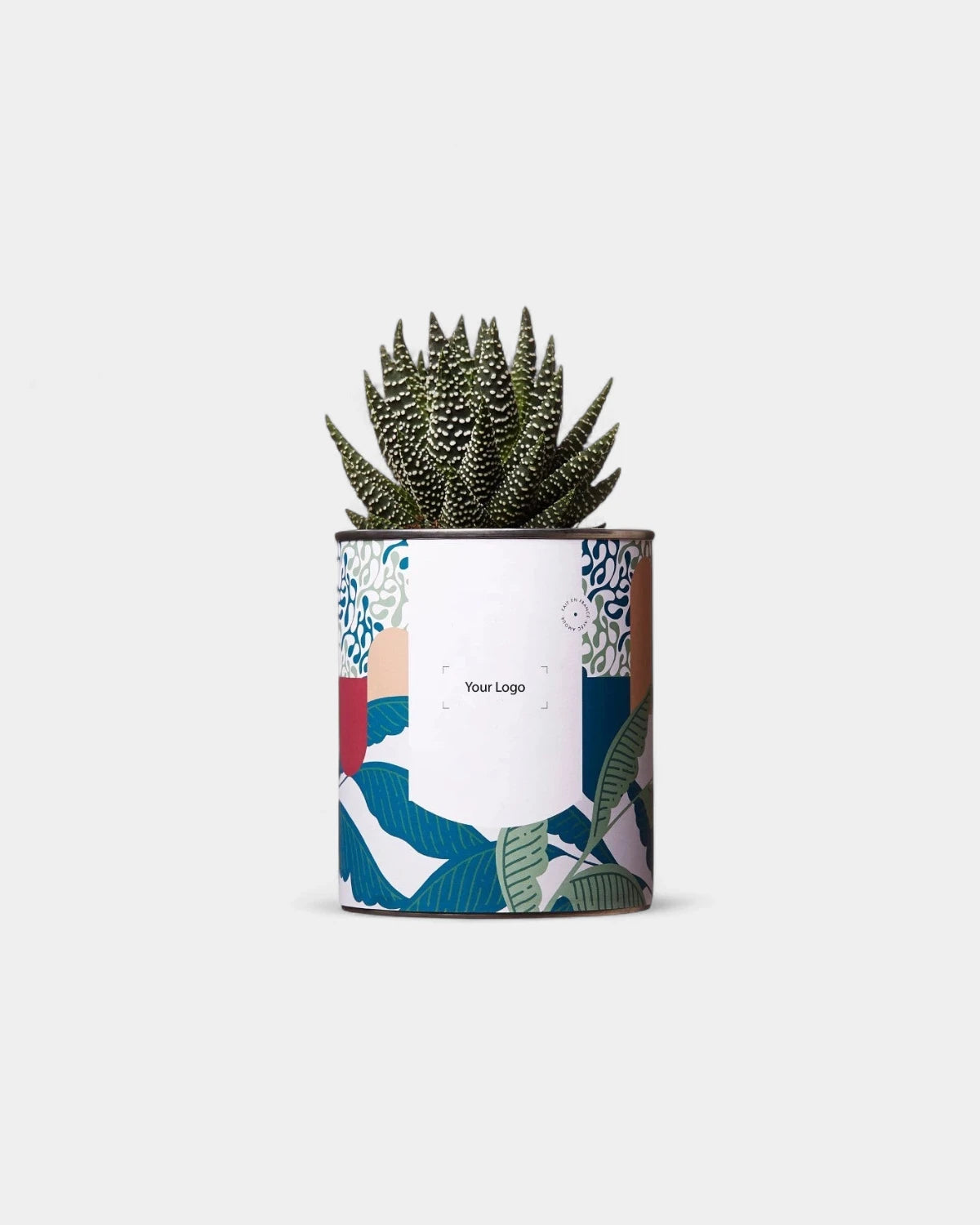 100% Customizable Cactus Diaiwaie